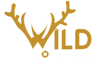 Wildvoyager