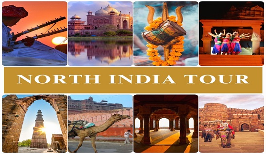 north india tour