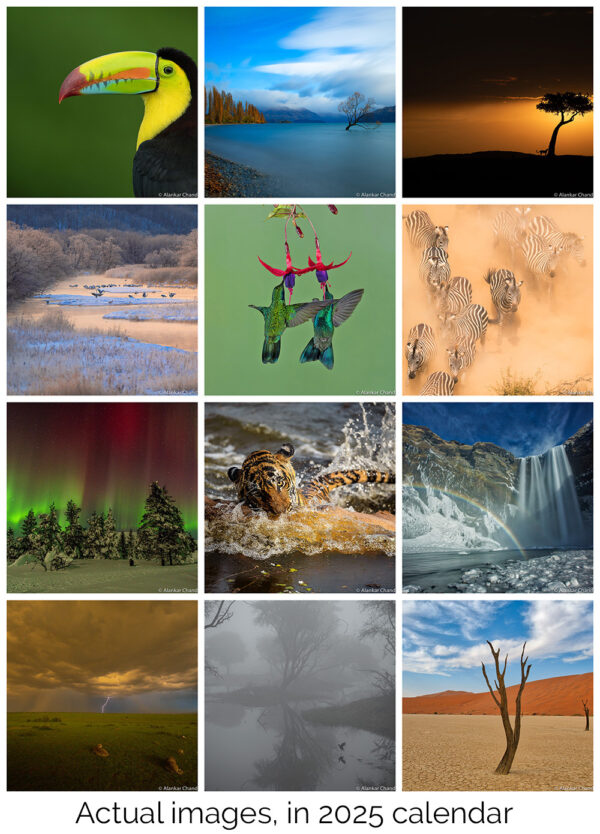 Calendar 2025 images