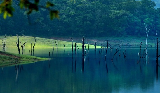 thekkady