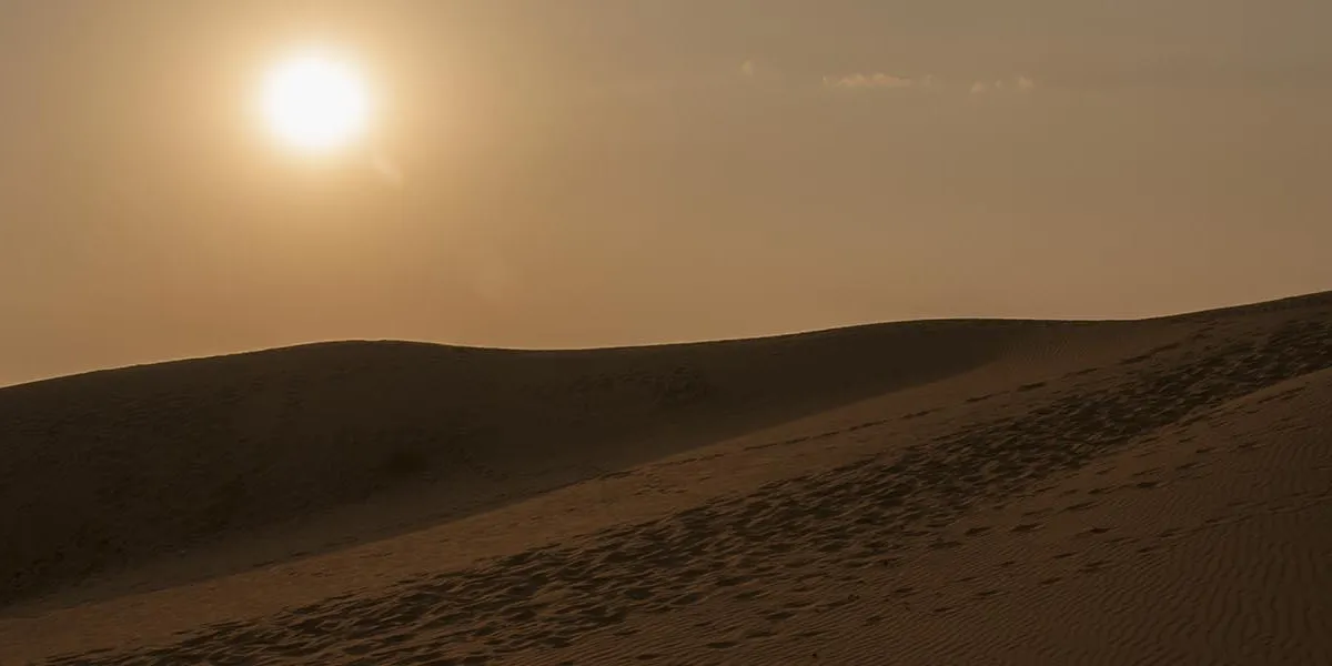 Desert National Park – Wildlife fest in desert