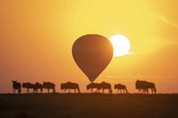 balloon safari