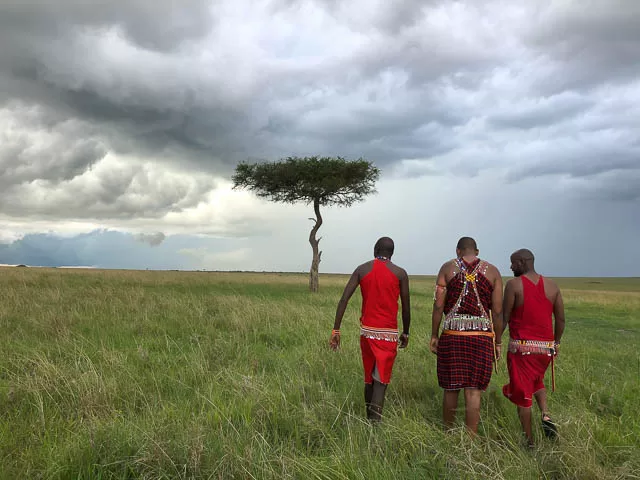 The maasai guides are your guides and guardians during safaris