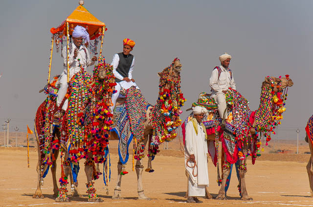 camel dressing competition