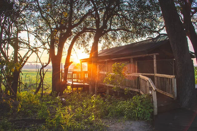 Camp in Okavango