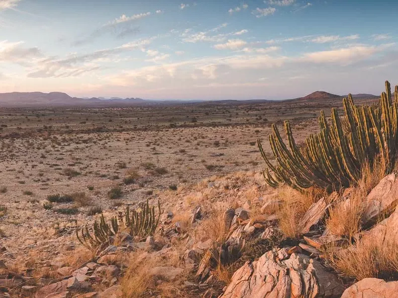 All about Kalahari Desert
