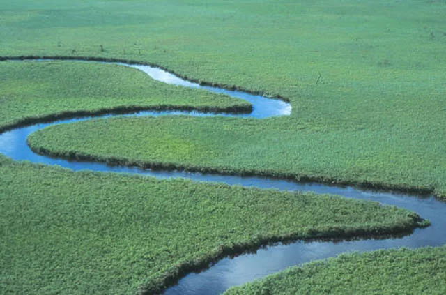 Aerial view of Okavango