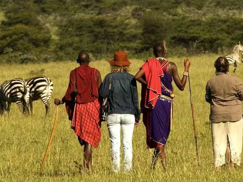 Where to do walking safari in Africa