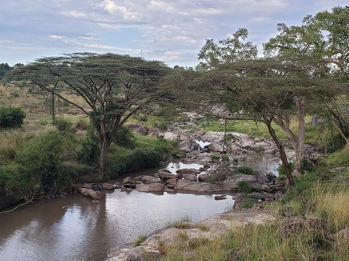 All about Grumeti Reserve