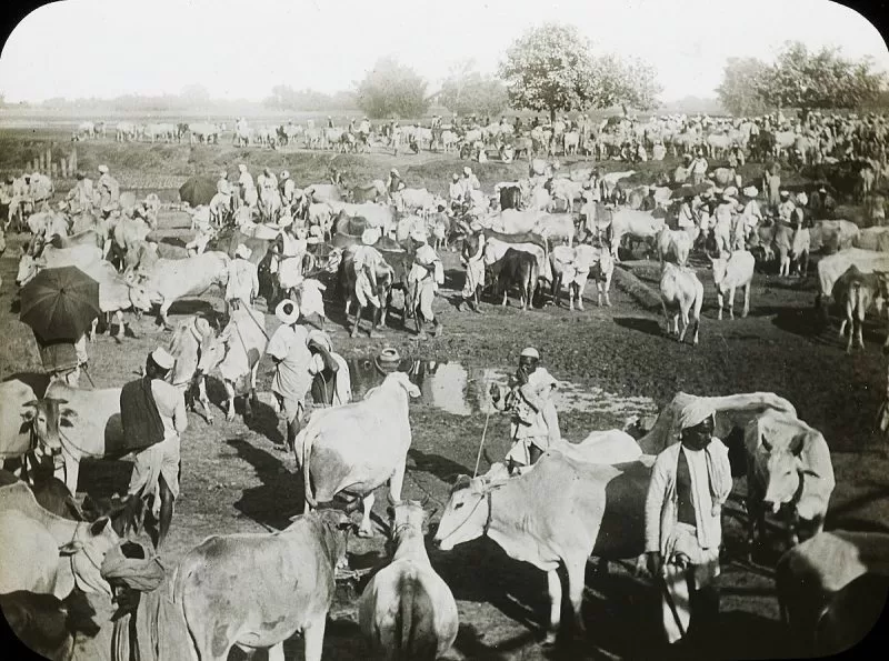 The Sonepur cattle fair in the year 1913