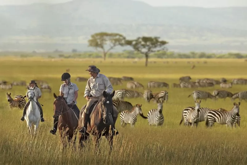 Horse safari in Serengeti, Tanzania 