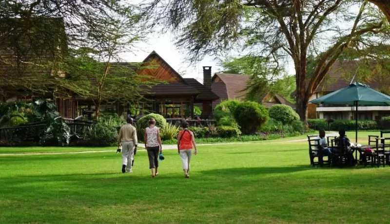 The calm Sawela Lodges nestled between nature
