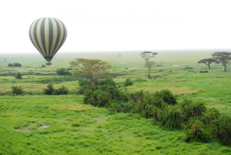 The beautiful scenery of Tanzania  