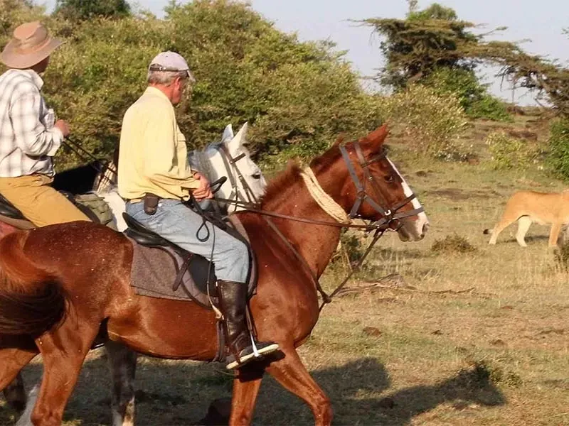 Horse riding safaris in Maasai Mara