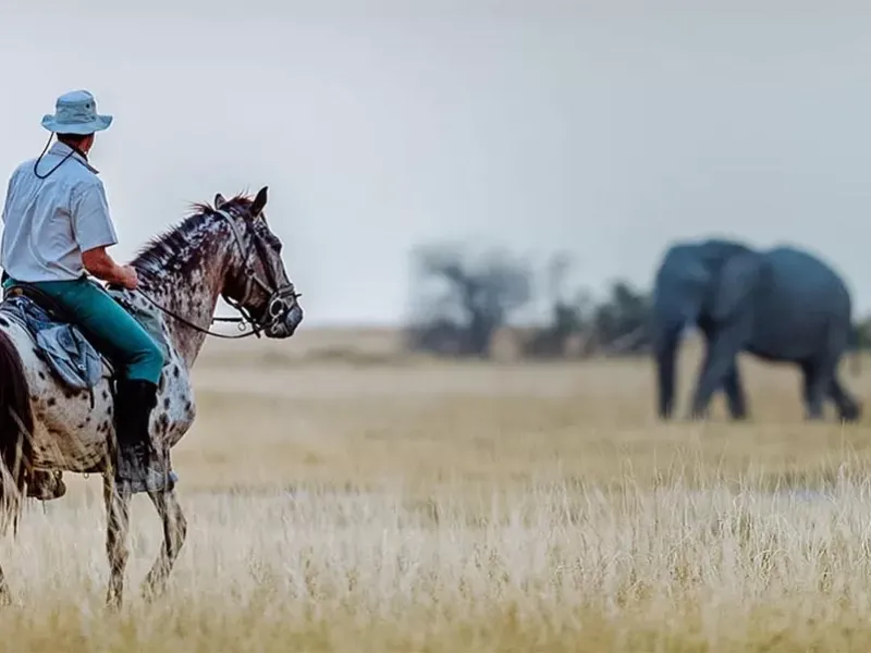Horse Riding In Tanzania