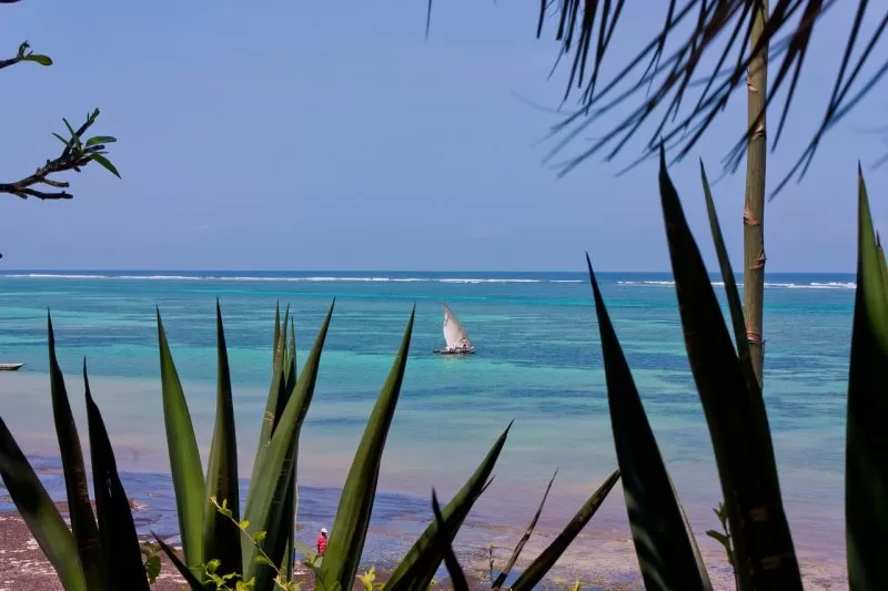 A beach in Malindi, Kenya