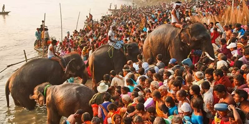 Elephants walking past a large crowd in Sonepur cattle fair