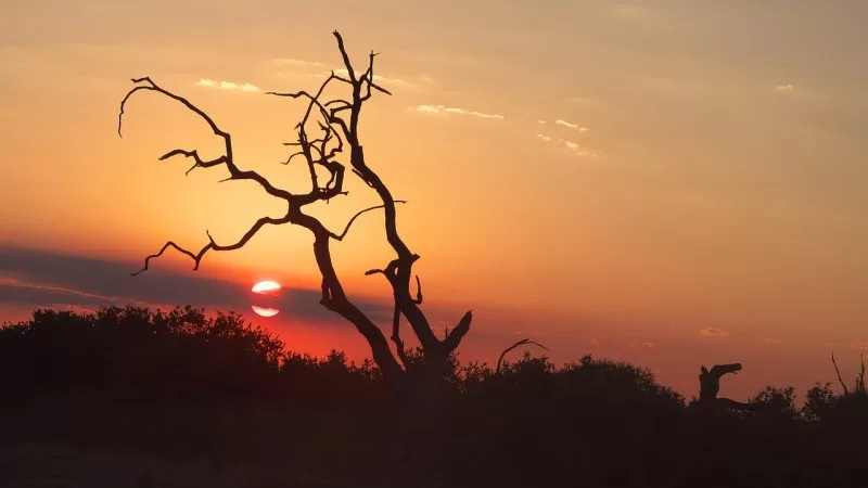 sunset of Chobe