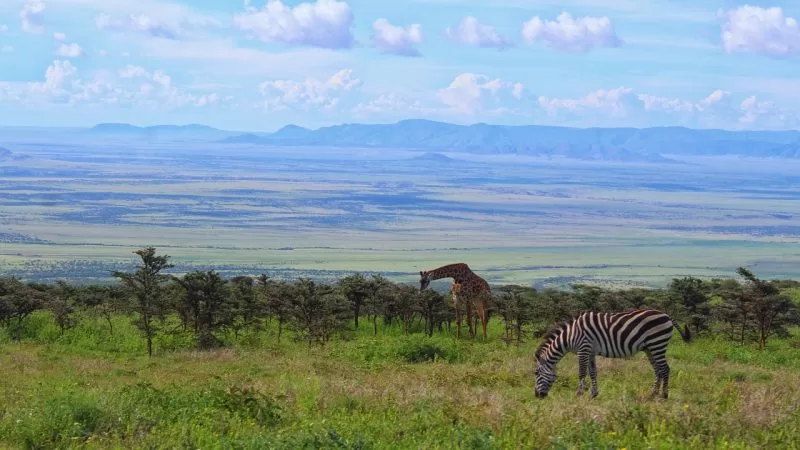 The picturesque sight of Tanzania's reserve