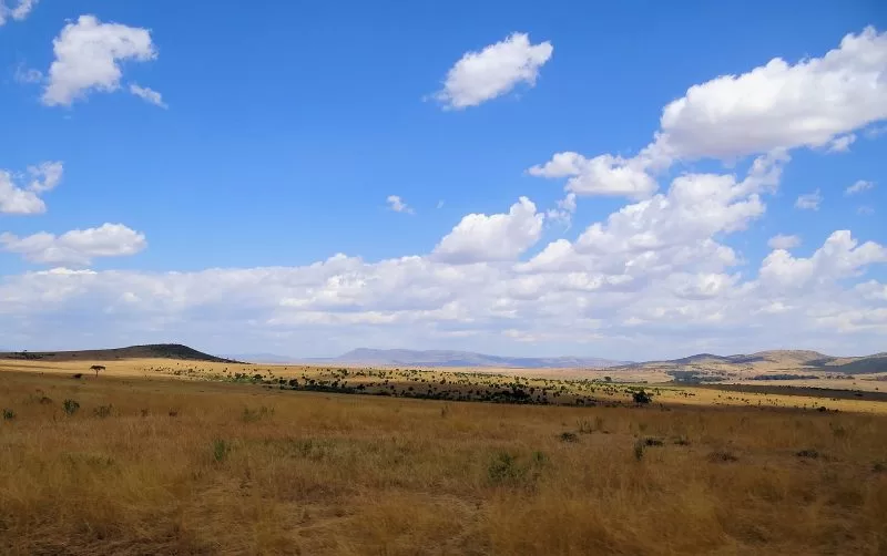 A typical clear day at the Mara, Best time to visit masai mara