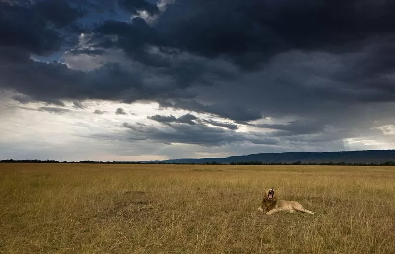 A cloudy day in Maasai Mara, Best time to visit masai mara