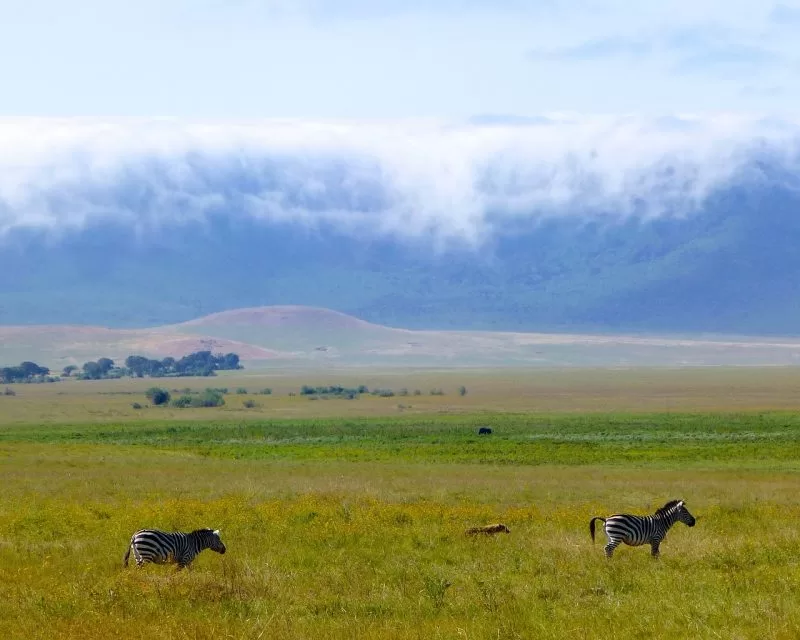 The scenic Ngorongoro crater of Tanzania