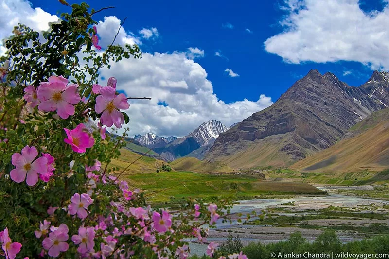 Pin valley national park