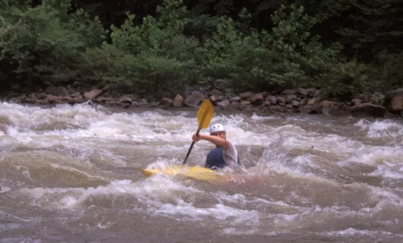 Kayaking through the waters of St Lucia estuary