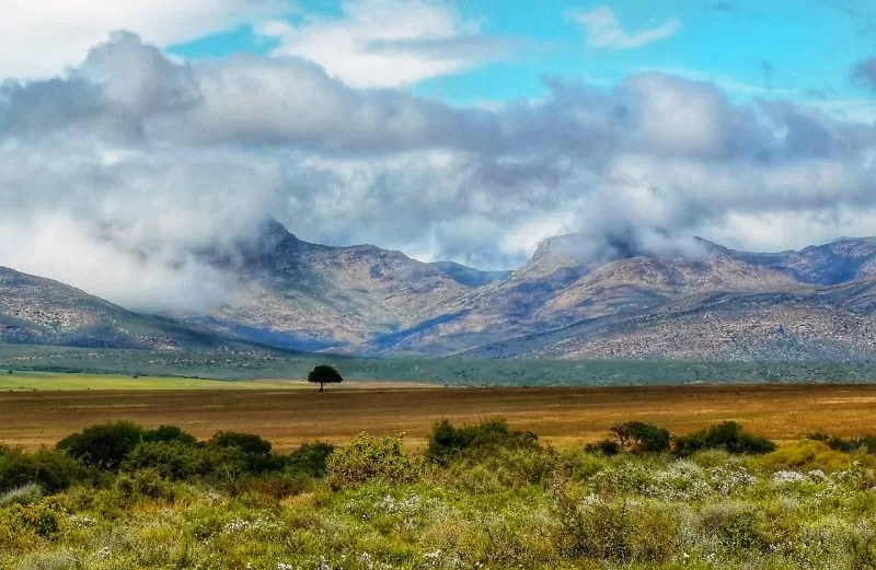 The beautiful South Africa from a distance