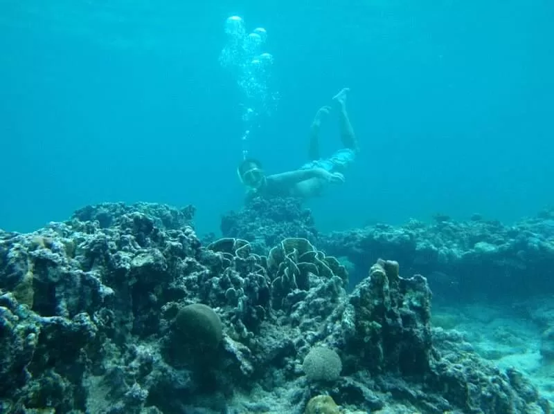 Snorkeling in KwaZulu Natal