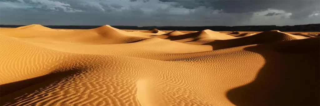 sahara