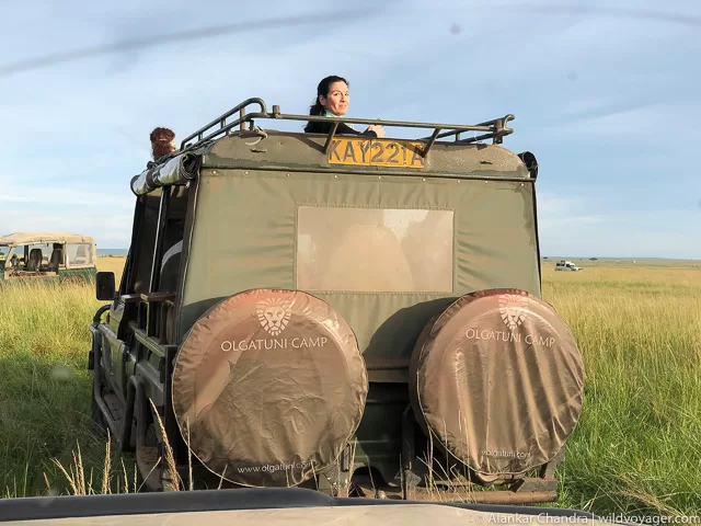 Safari experience