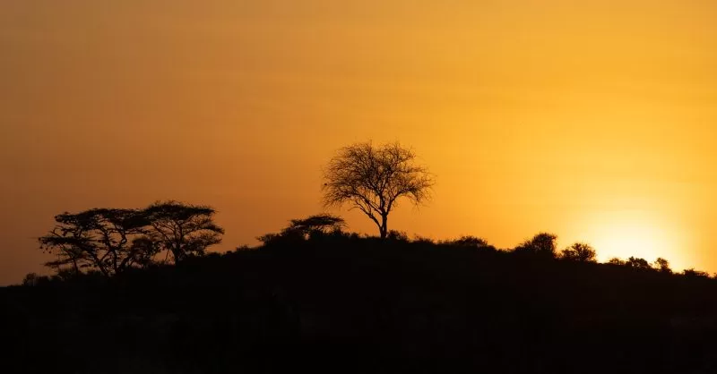 A calm sunrise over Samburu