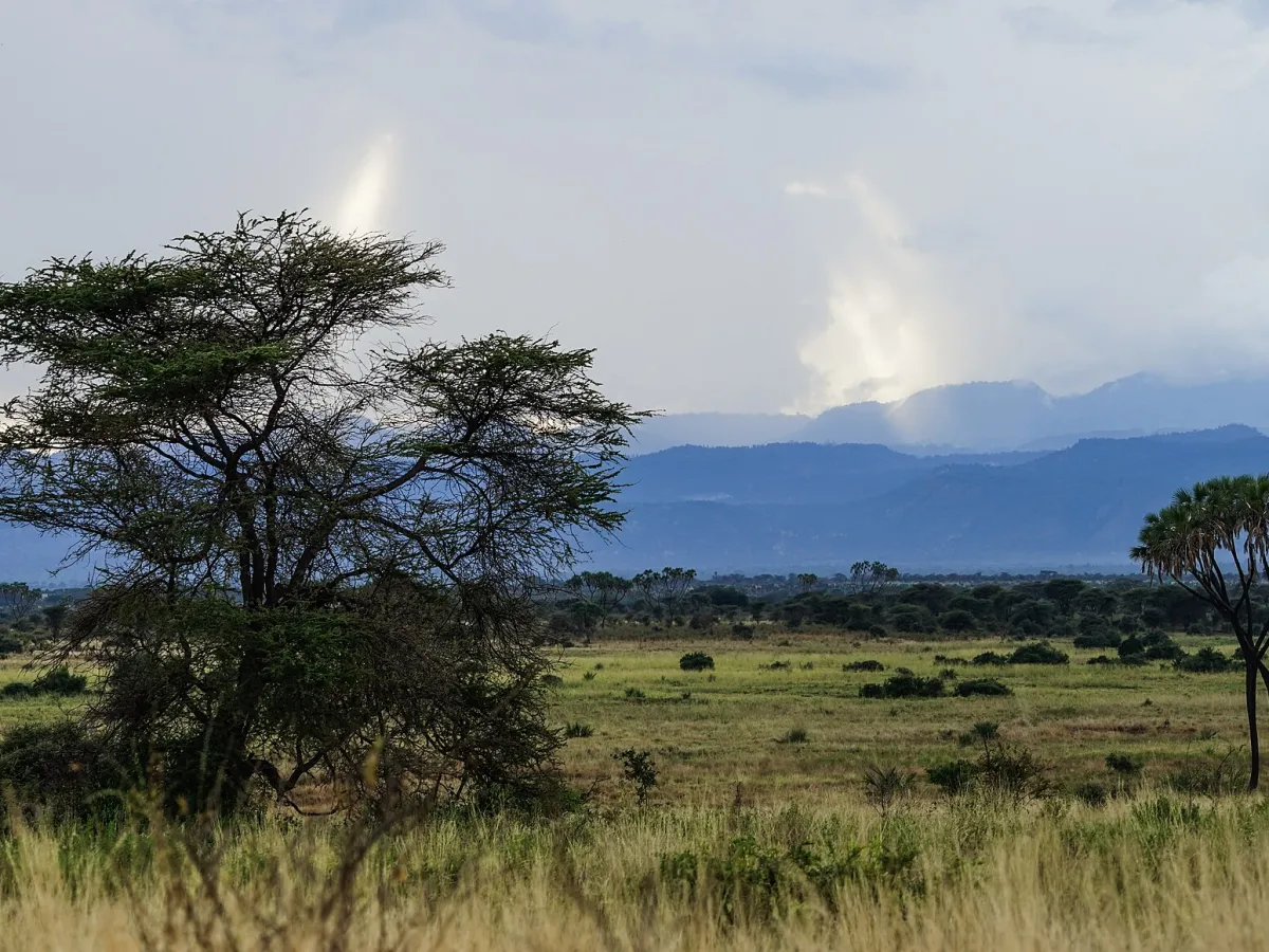 Lesser known safari destinations of East Africa