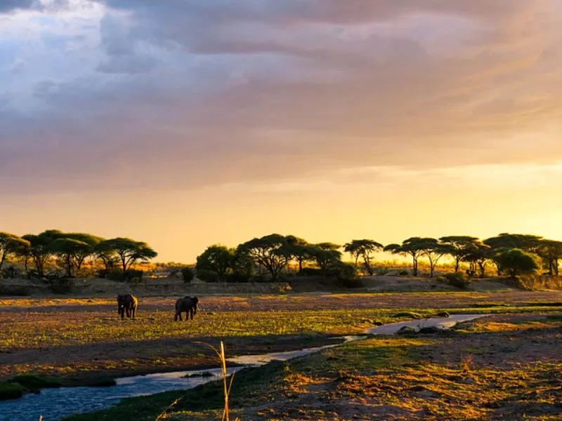 A stunning sunset at Ruaha National Park