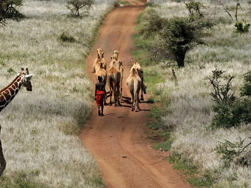 All about Laikipia Plateau