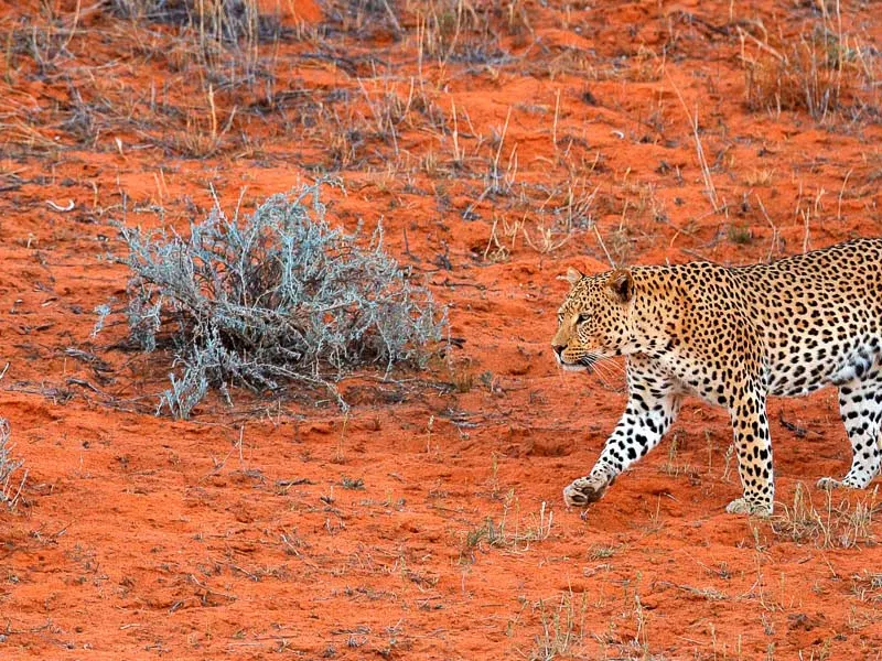 Lesser known safari destinations of East Africa