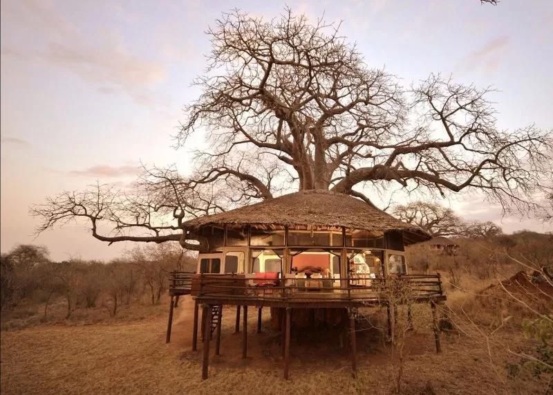 Tarangire Treetops
