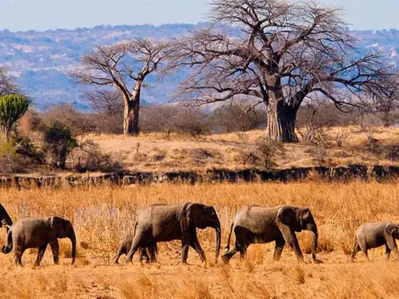 Best hotels of Tarangire