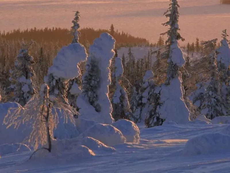Famous national parks of Finland