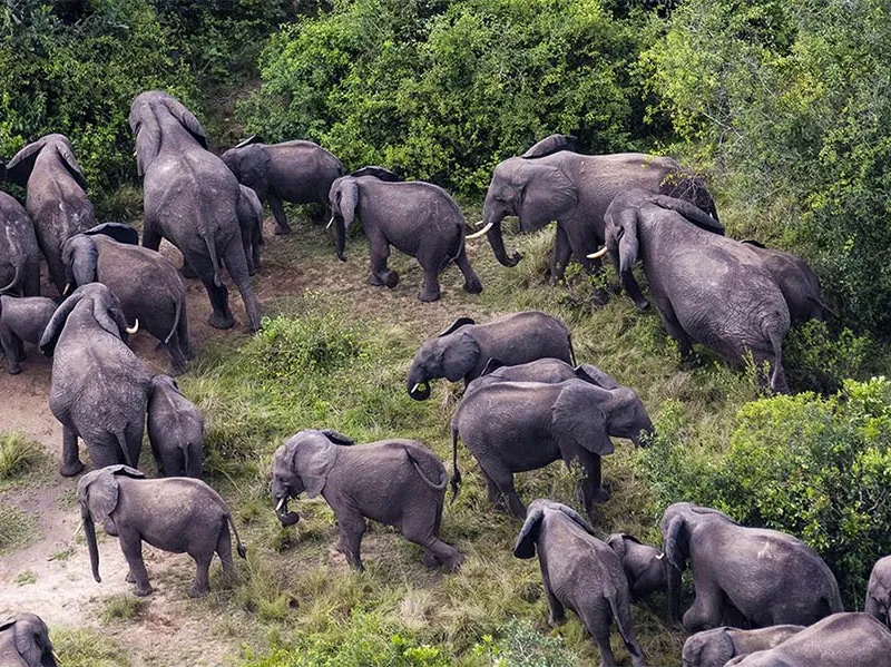 Best places to see in Congo