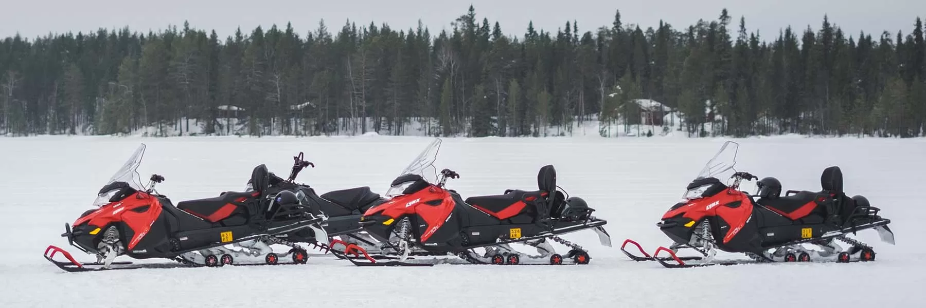 Snow activities like snowmobile, dog sledding, reindeer sledding etc