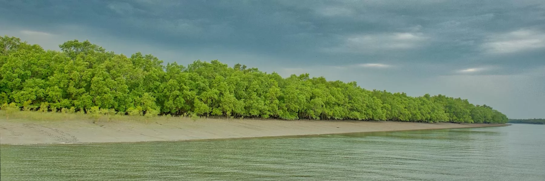 Sundarban National Park