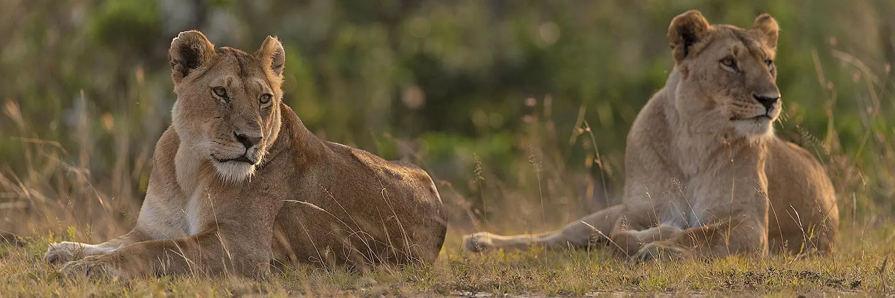 Queen Elizabeth National Park tour