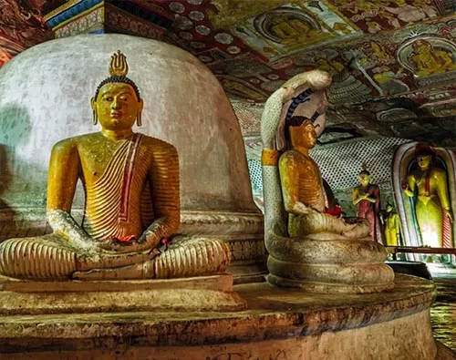 Dambulla tour