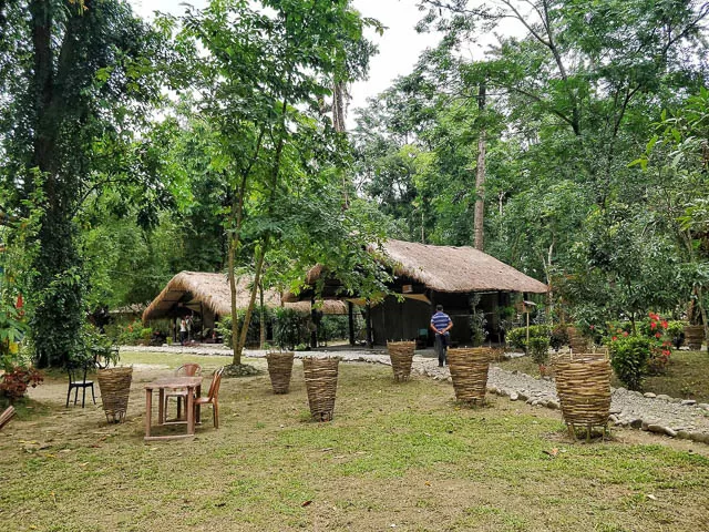 small huts for visitors in eco camp at nameri national park, assam