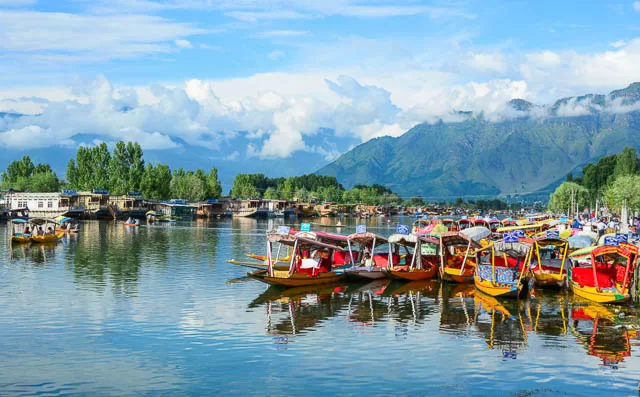 boats docked on dal lake srinagar, jammu and kashmir