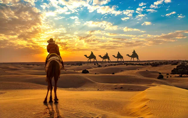 tourist on camel safari at the Thar desert at sunset with view of camel caravan in Jaisalmer, Rajasthan