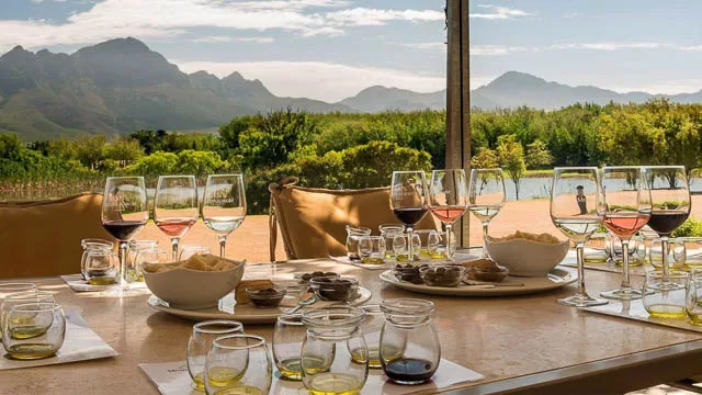 different wine glasses laid out for tasting in cape winelands, south africa