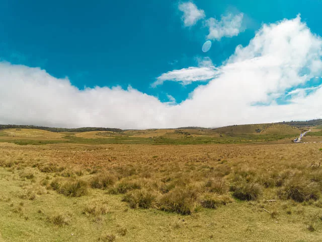 blue sky over montane grasslands in horton plains nuwara eliya, sri lanka